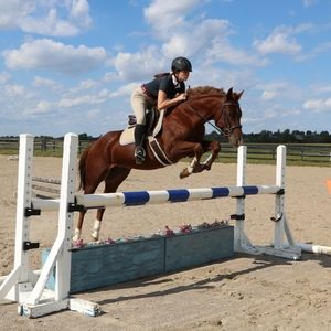 Meet your Posher, Elizabeth